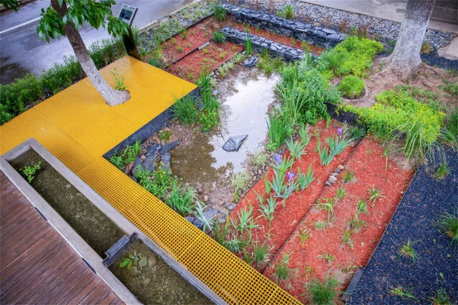 1662527661922072.jpg 47.jpg