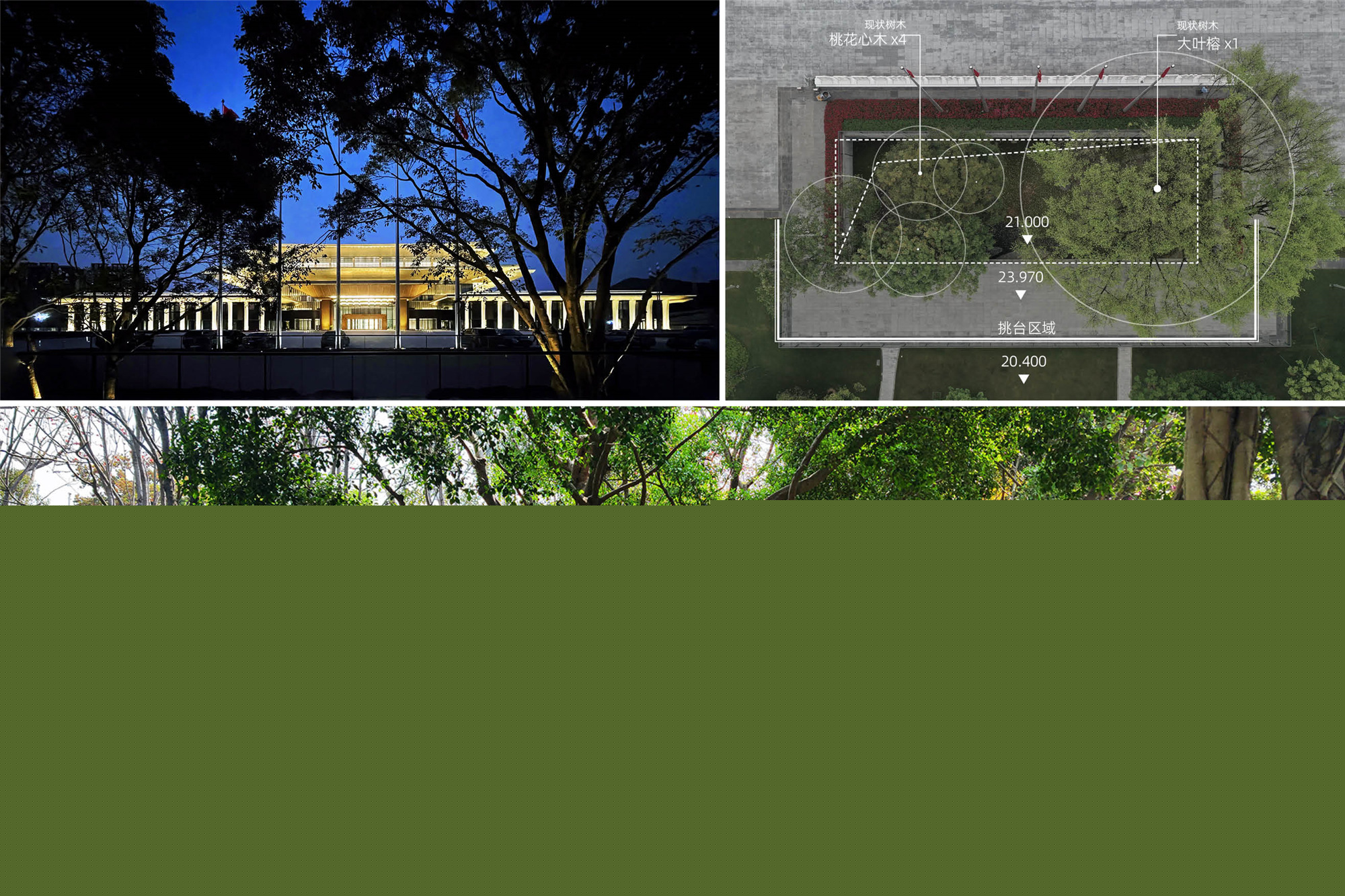 Preserving existing trees?超越視覺(jué) ?華南理工大學(xué)建筑設(shè)計(jì)研究院有限公司.jpg