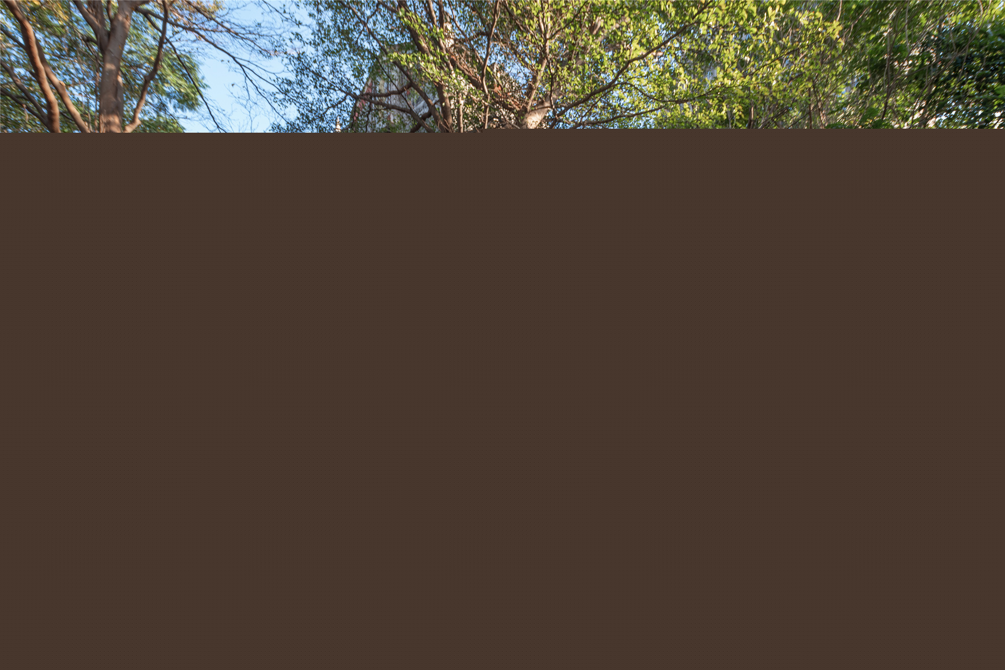 10 吧臺與休閑界面Bar counter and leisure interface ?曾天培.jpg