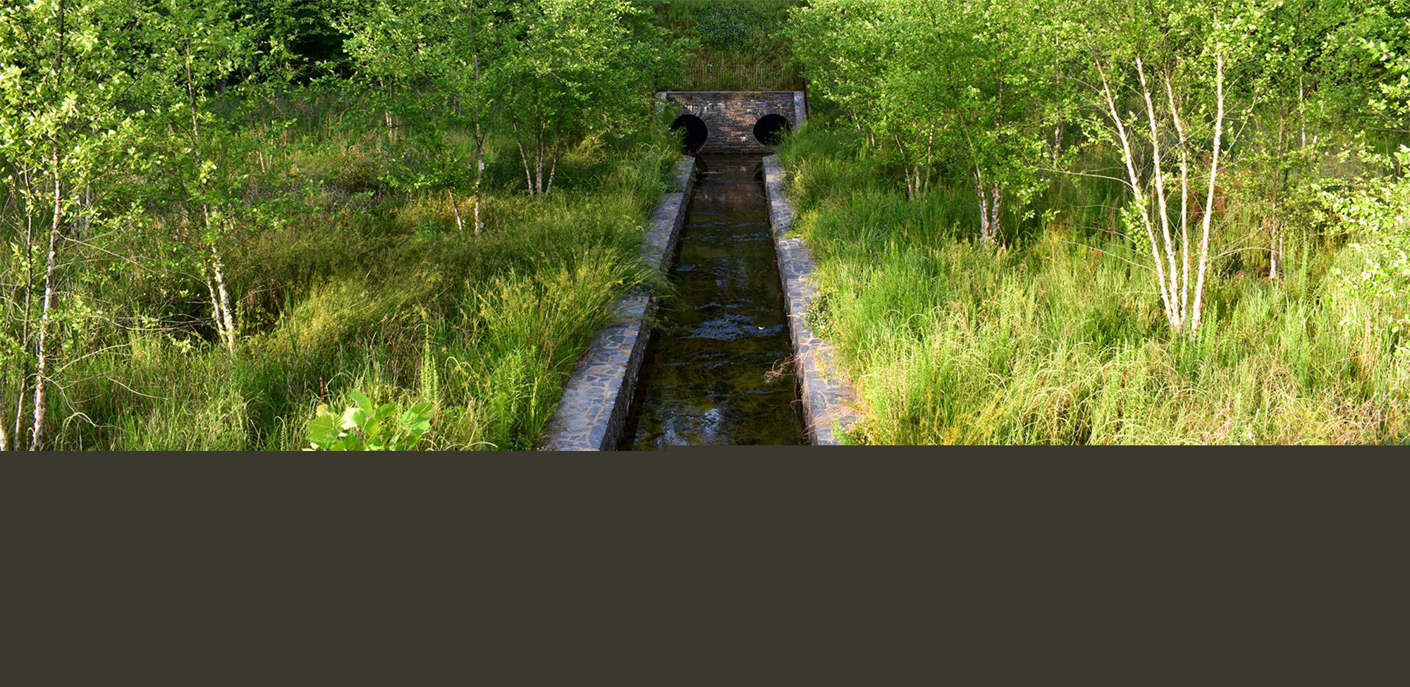 Duke University Water Reclamation Pond (6).jpg