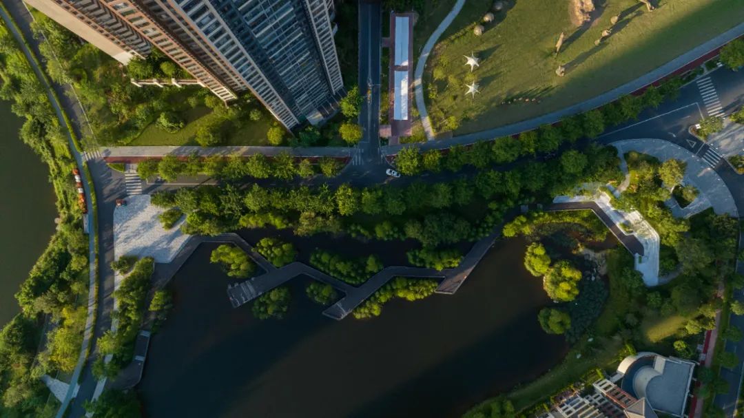 1706060498359488.jpg 2.jpg