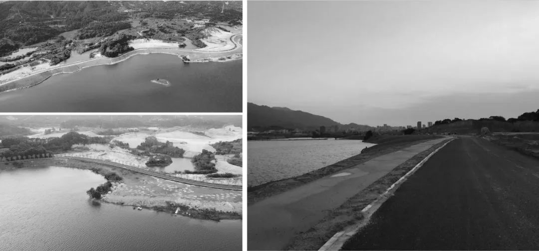 1706060660469056.jpg 11.jpg