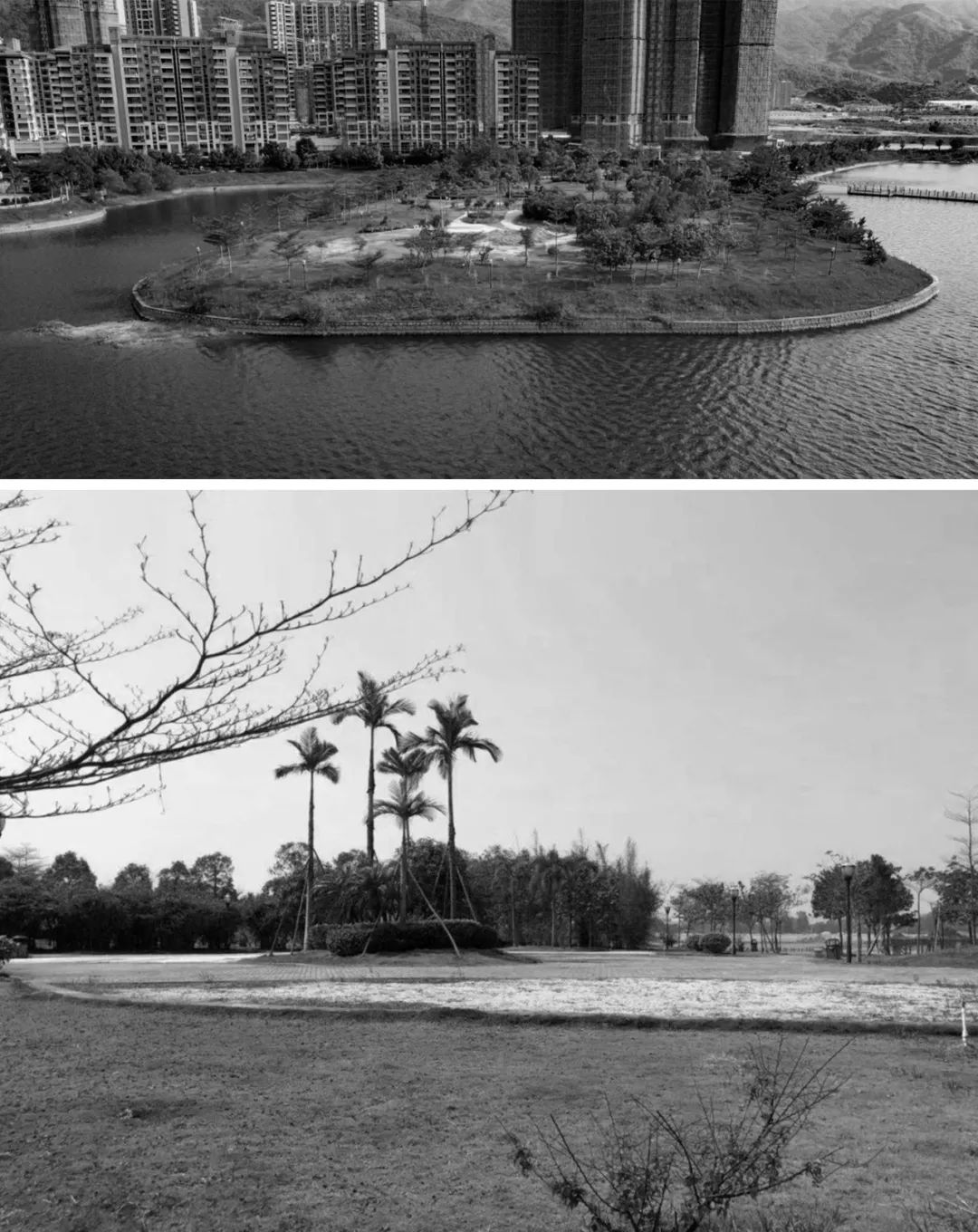 1706060681477083.jpg 12.jpg