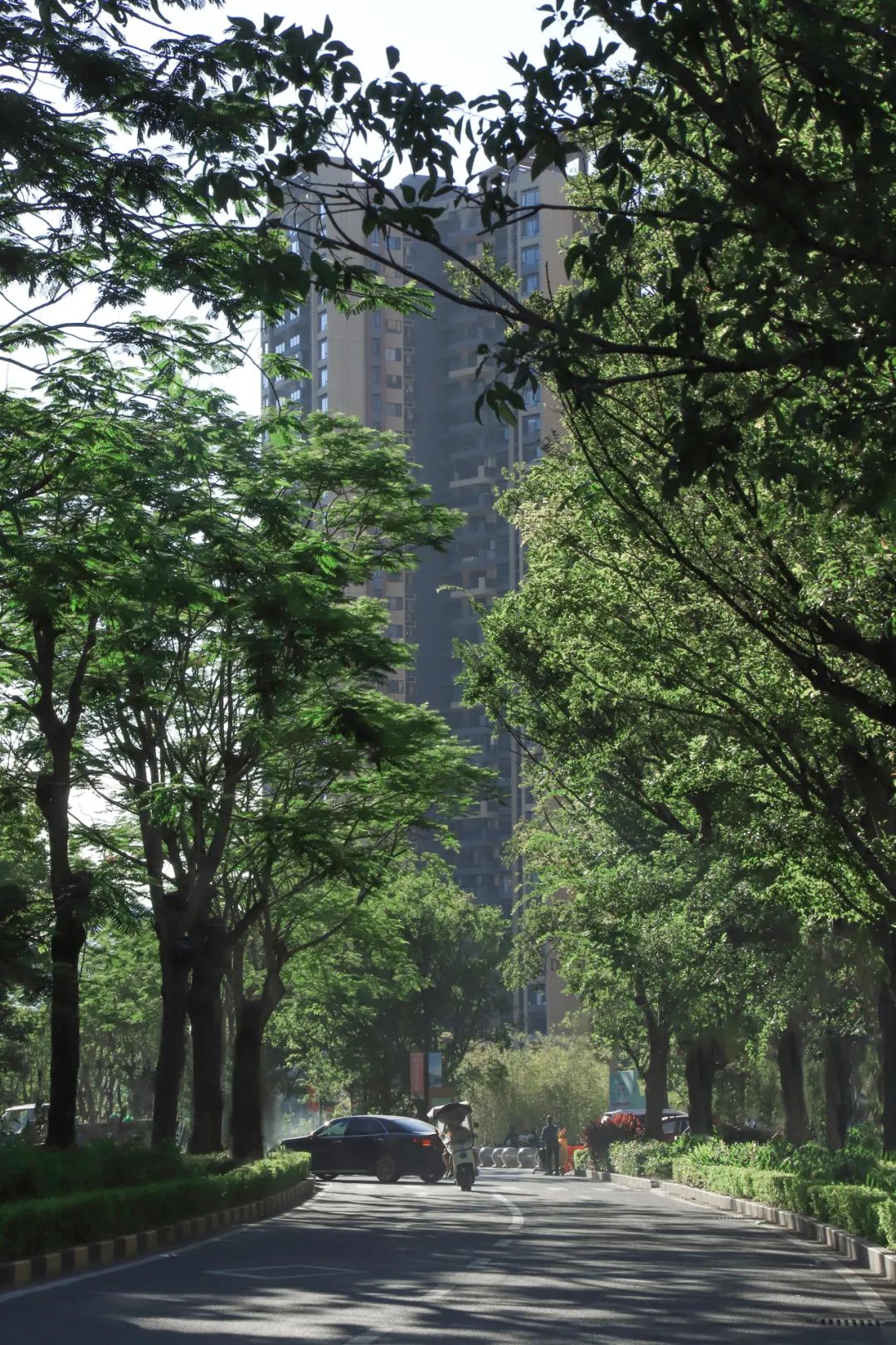 1706060794961886.jpg 14.jpg