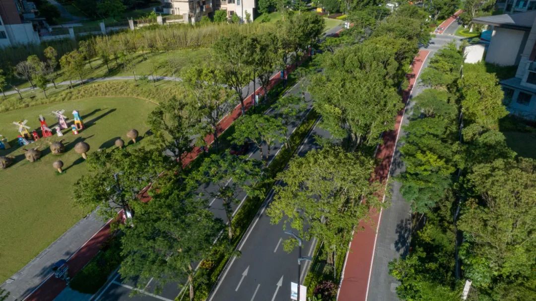 1706060915222826.jpg 2.jpg