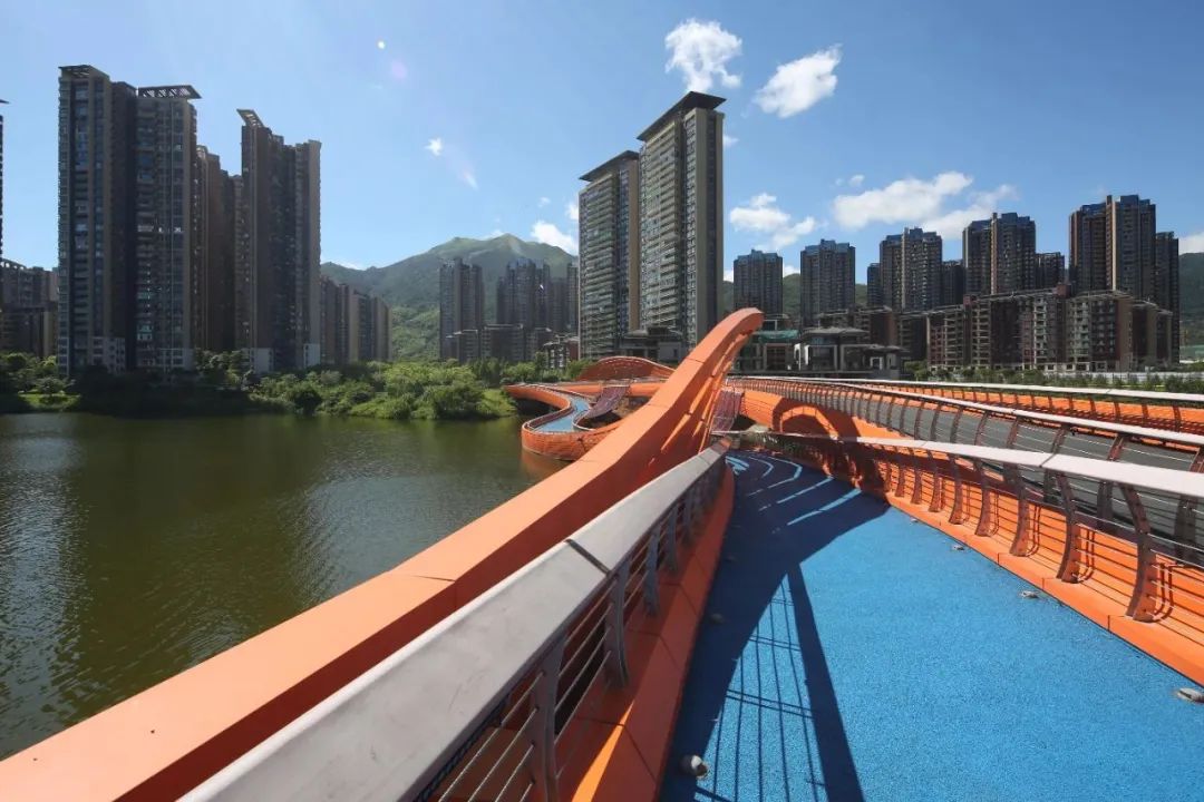 1706060980585014.jpg 7.jpg