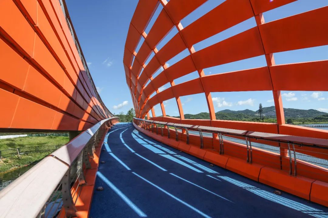 1706061033792435.jpg 11.jpg