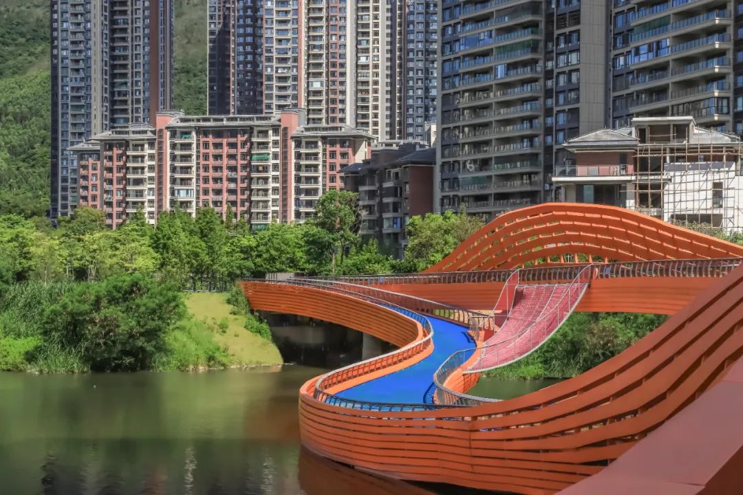 1706061055834109.jpg 13.jpg