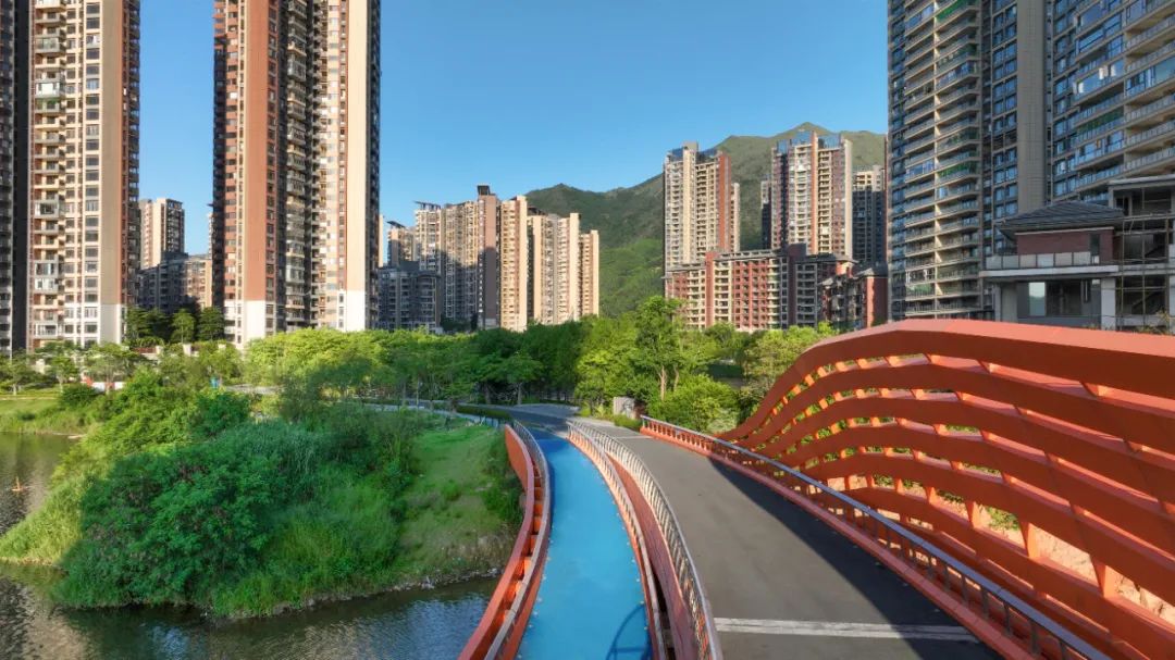 1706061063220777.jpg 14.jpg