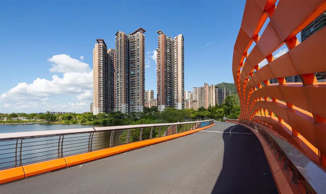 1706061074436651.jpg 15.jpg