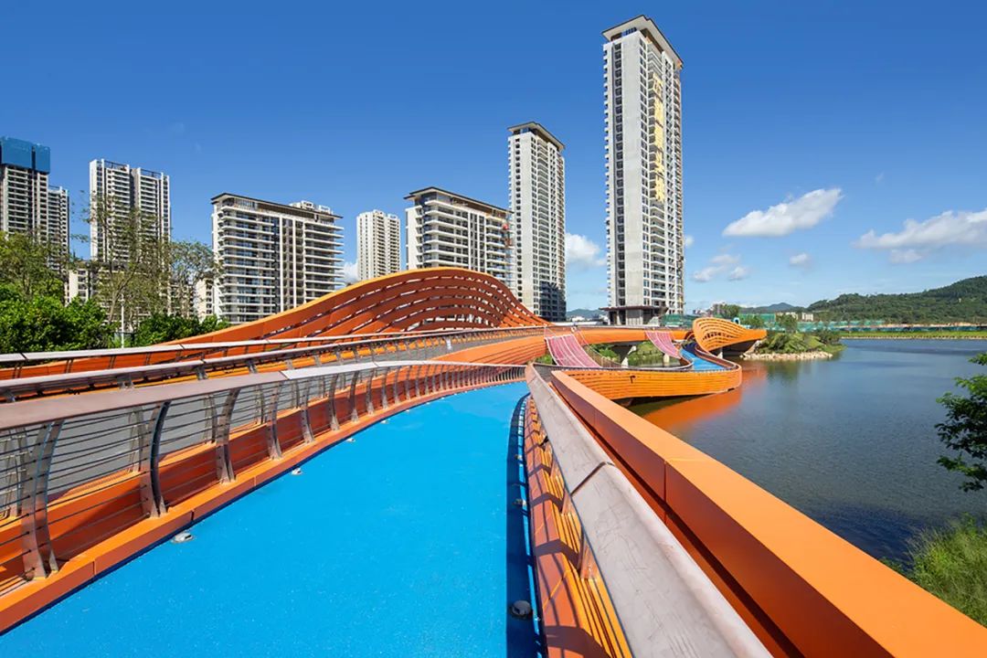 1706061084139198.jpg 16.jpg