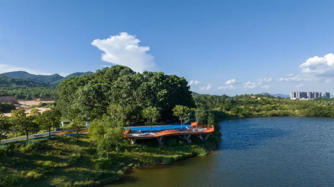 1706061375888199.jpg 9.jpg