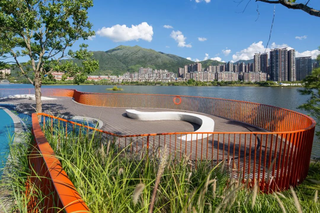 1706061581521271.jpg 2.jpg