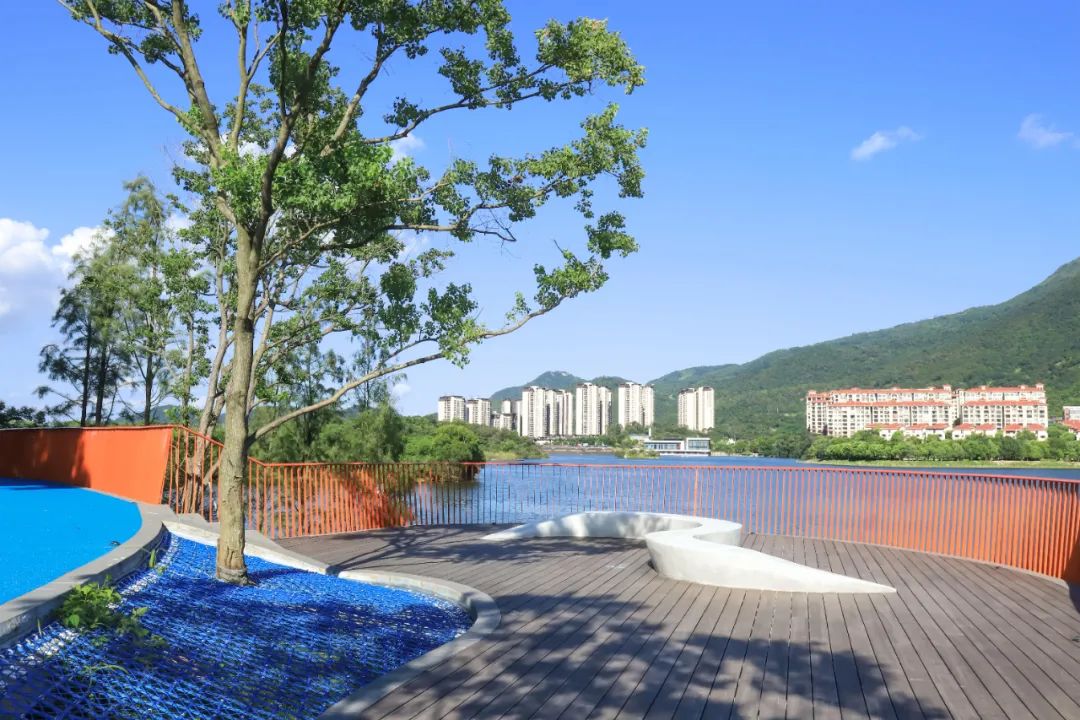 1706061604972948.jpg 4.jpg