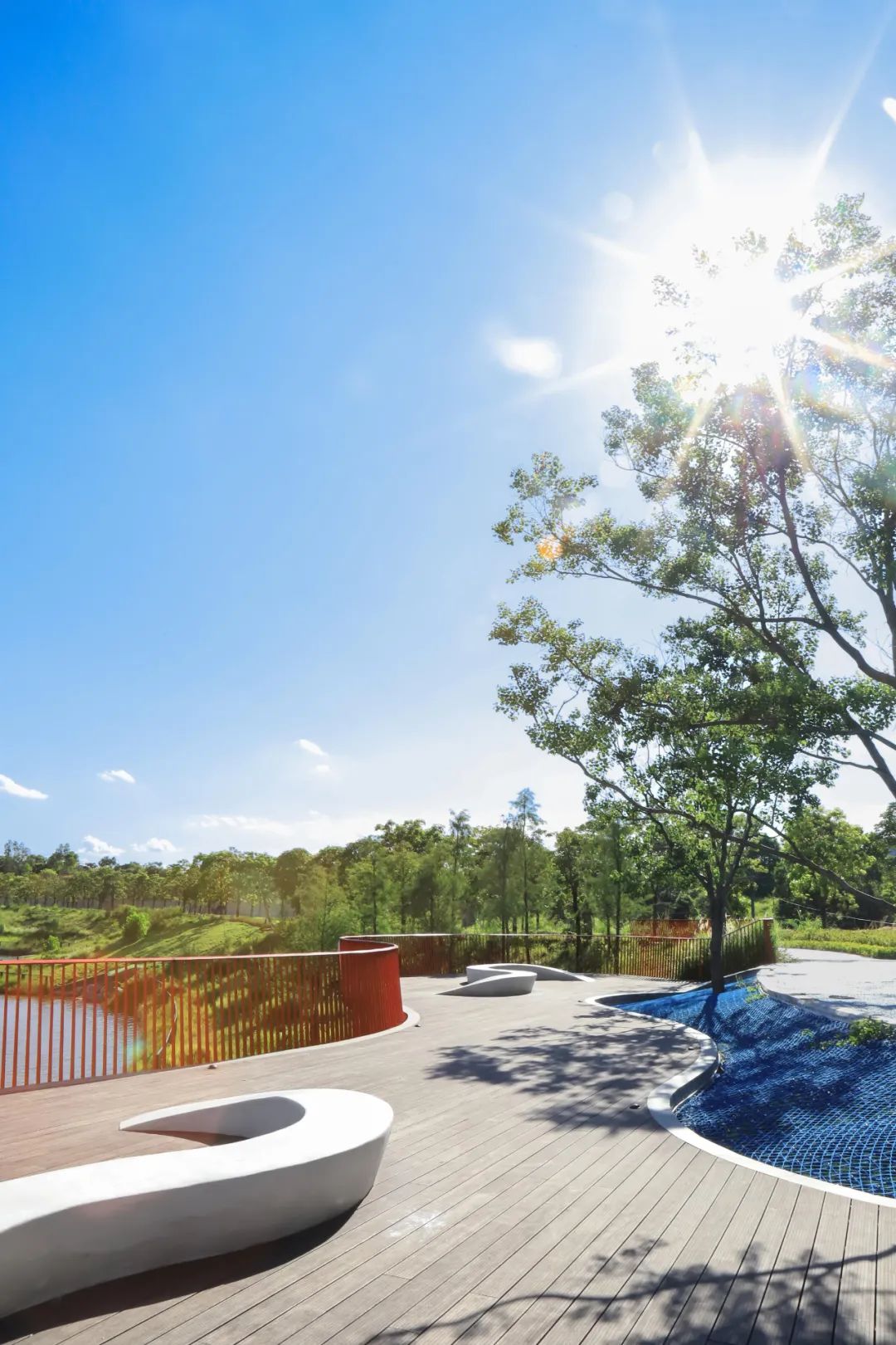 1706061613474180.jpg 5.jpg