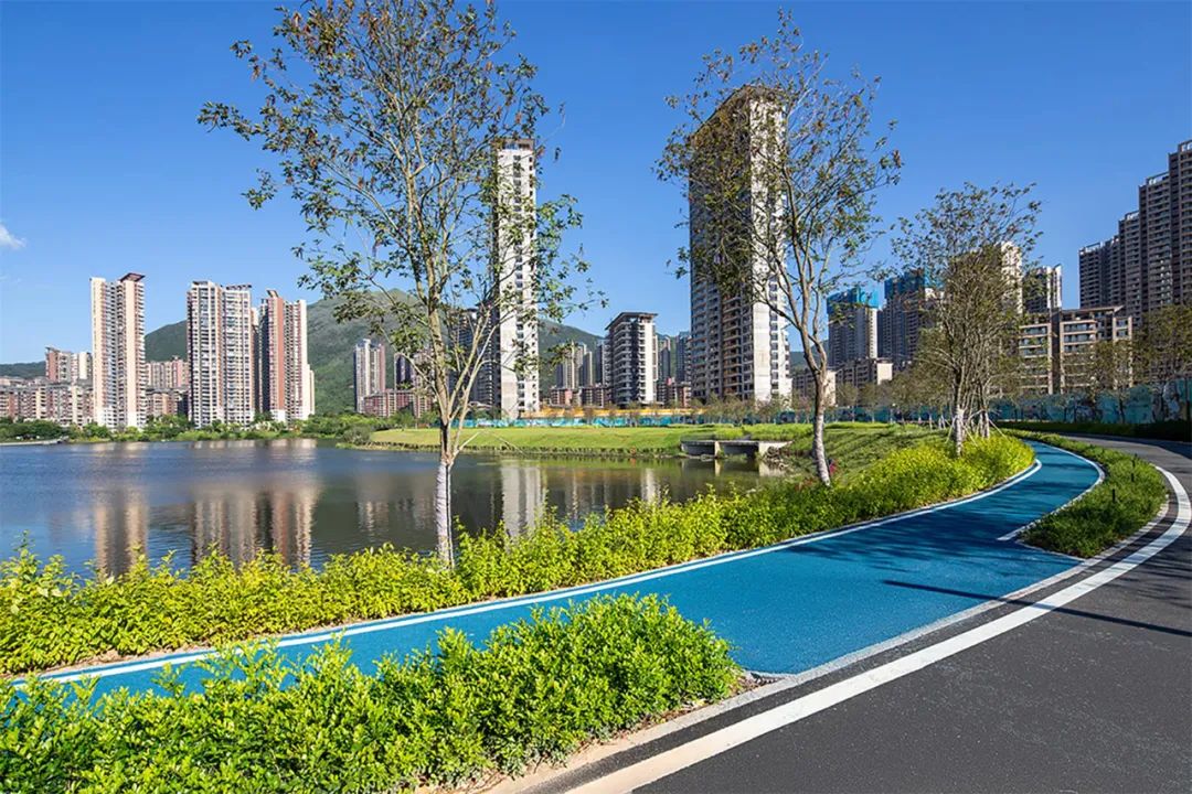 1706061659606489.jpg 8.jpg