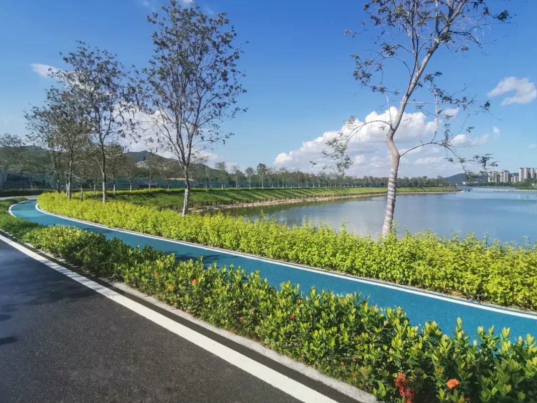 1706061670277973.jpg 9.jpg