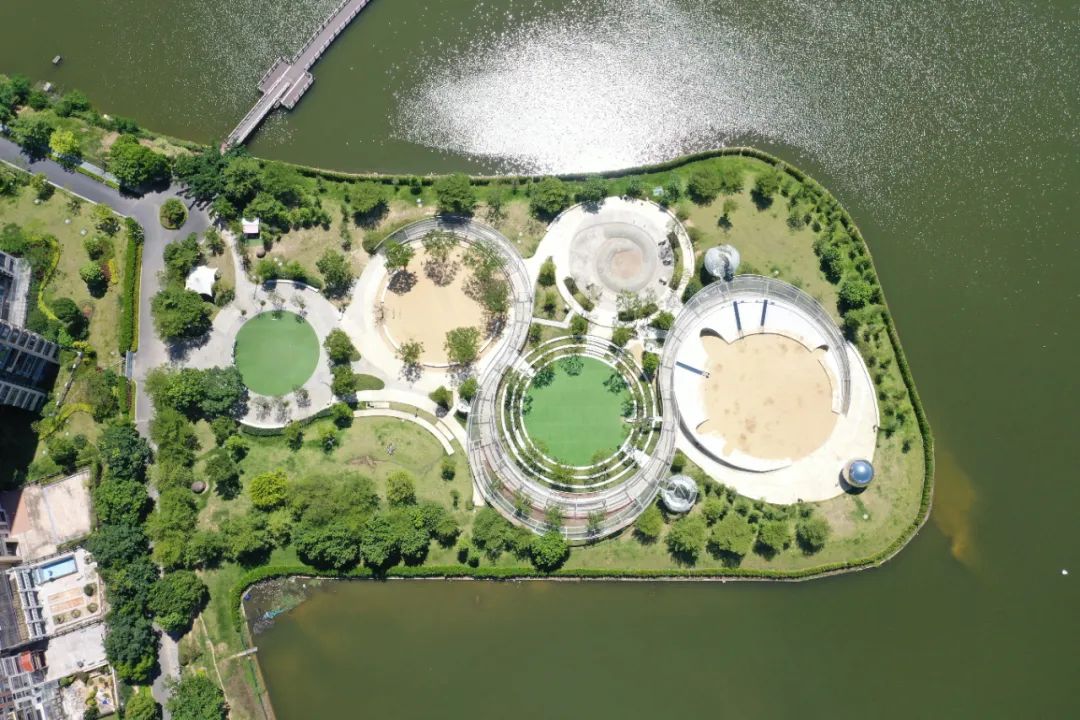 1706061685243500.jpg 10.jpg