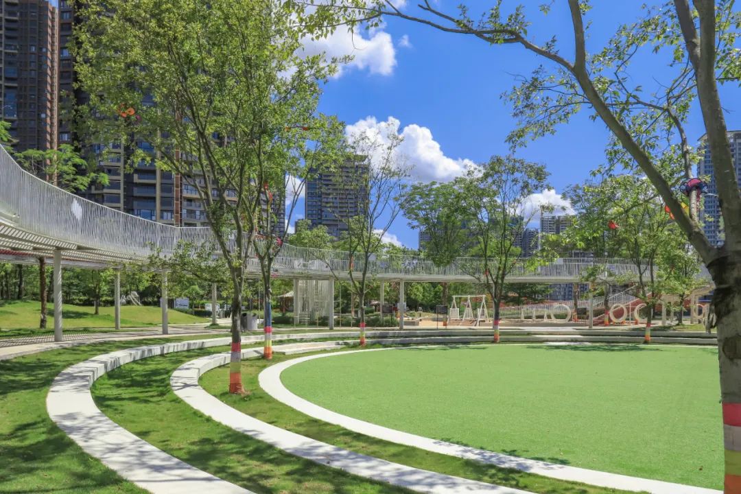 1706061708446358.jpg 12.jpg