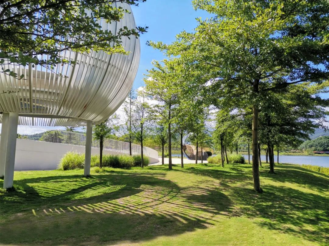 1706061738288620.jpg 14.jpg