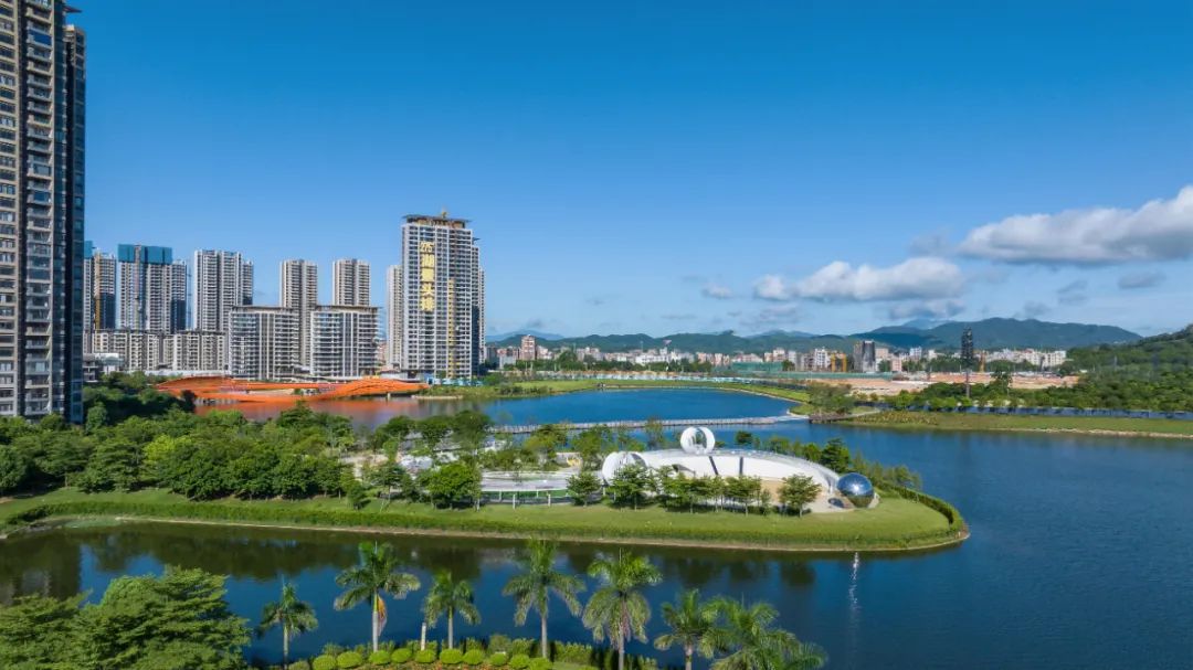 1706061822165281.jpg 15.jpg