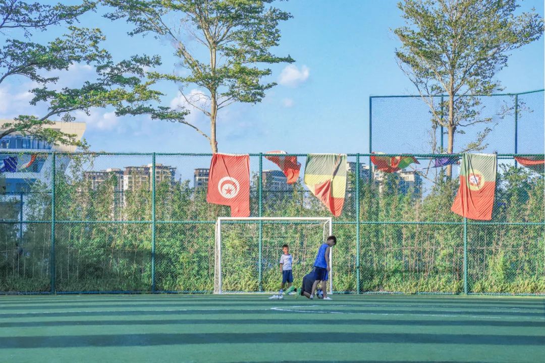 1706063936864890.jpg 5.jpg