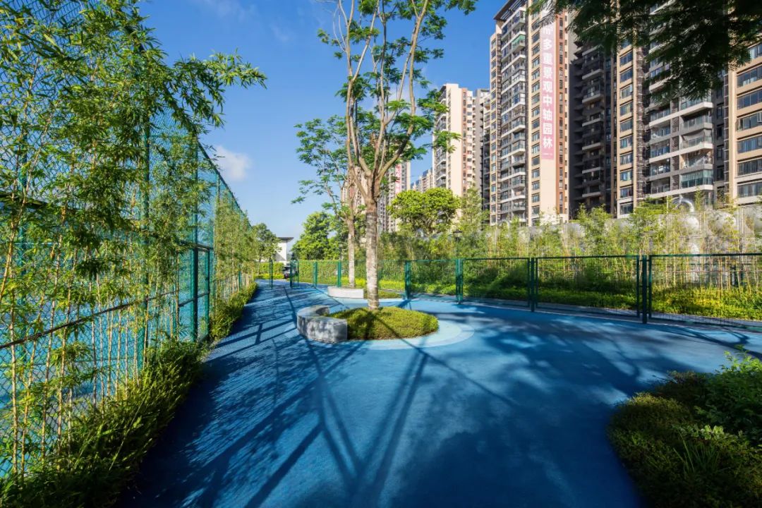 1706063956260019.jpg 6.jpg