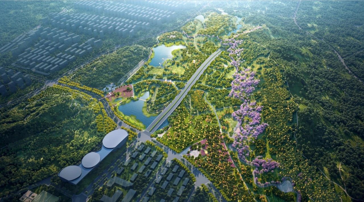 1720084040368224.jpeg 2-1.jpeg