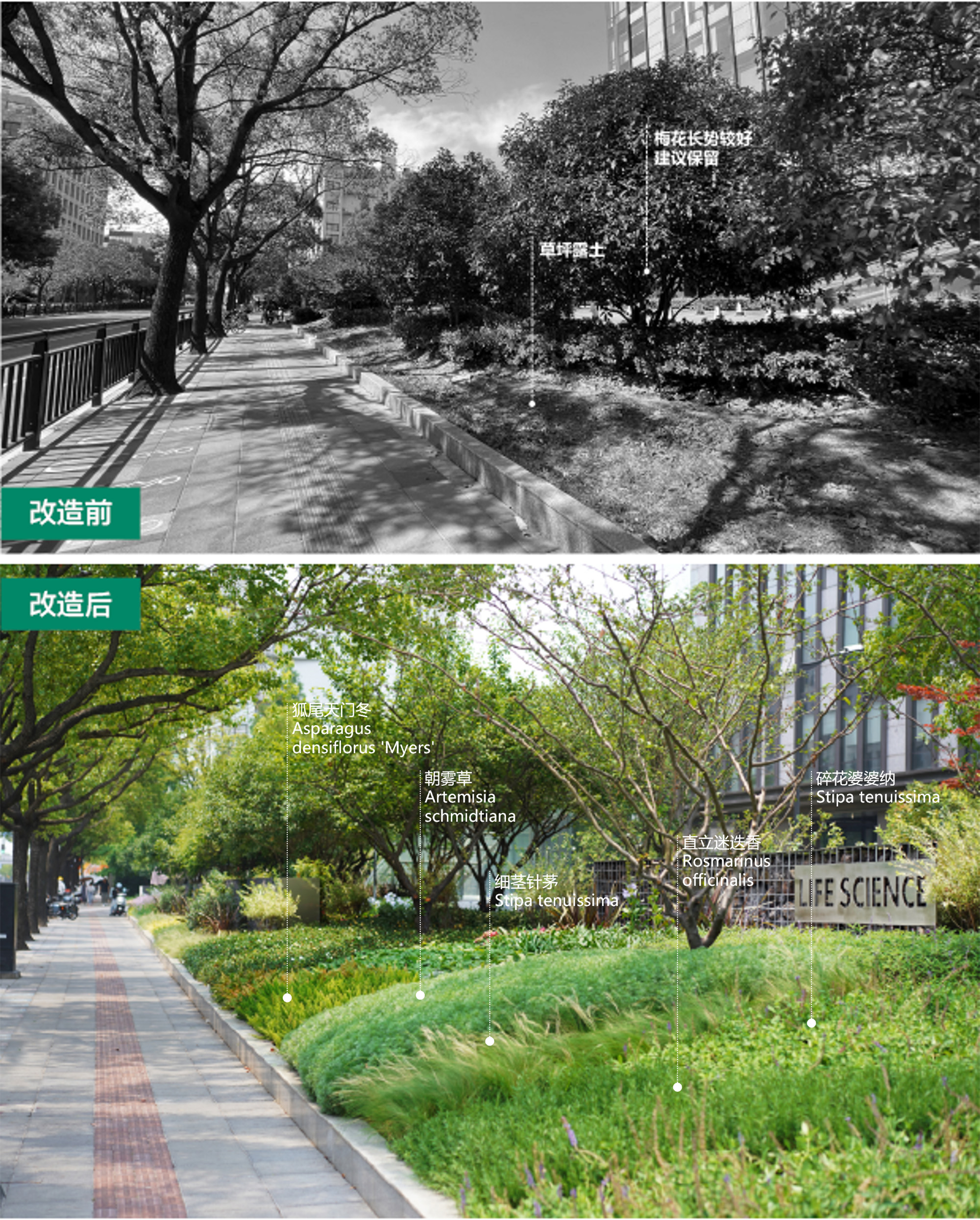 改造前后對(duì)比 (2) 拷貝.jpg