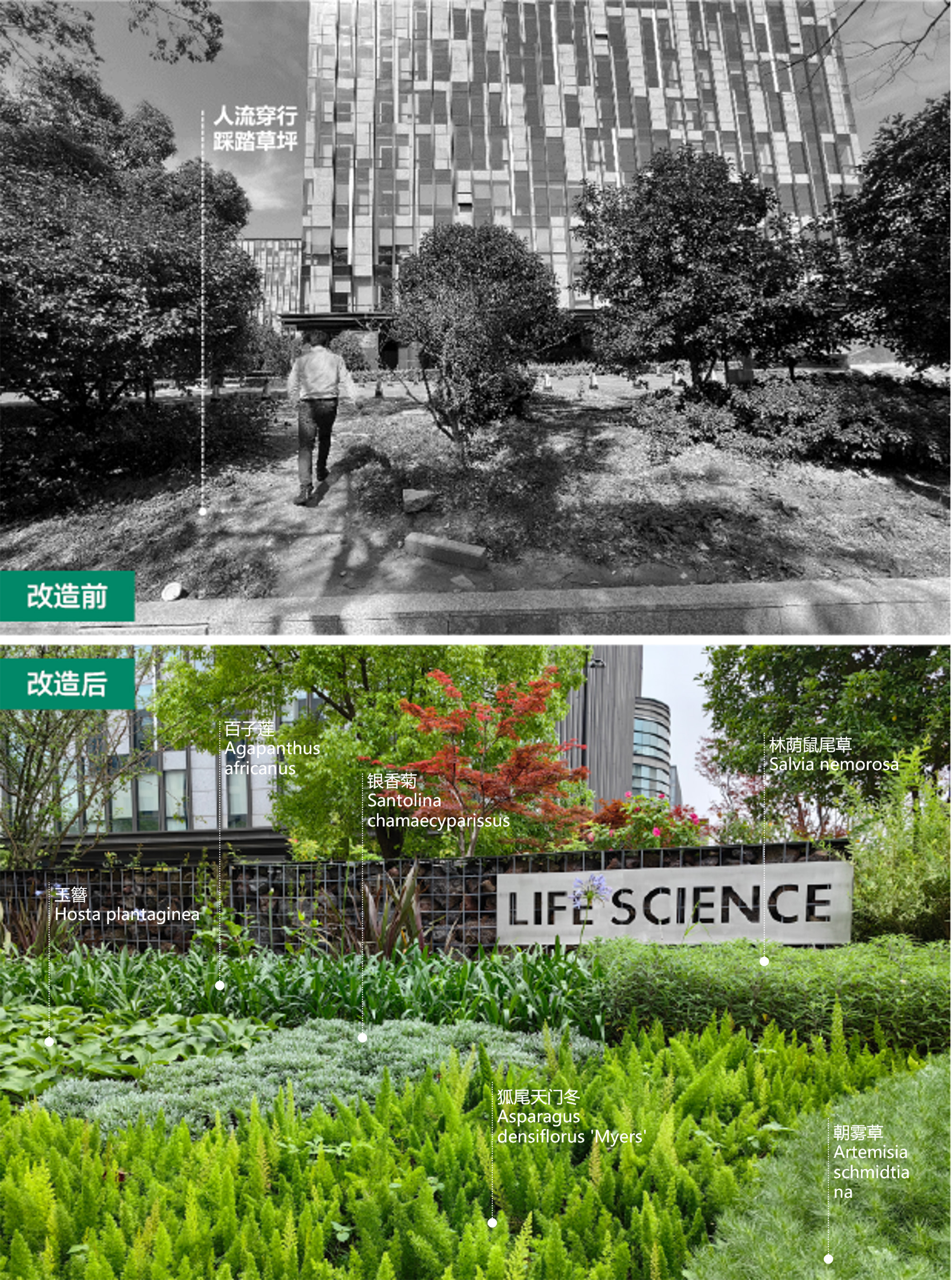 改造前后對(duì)比 (3) 拷貝.jpg