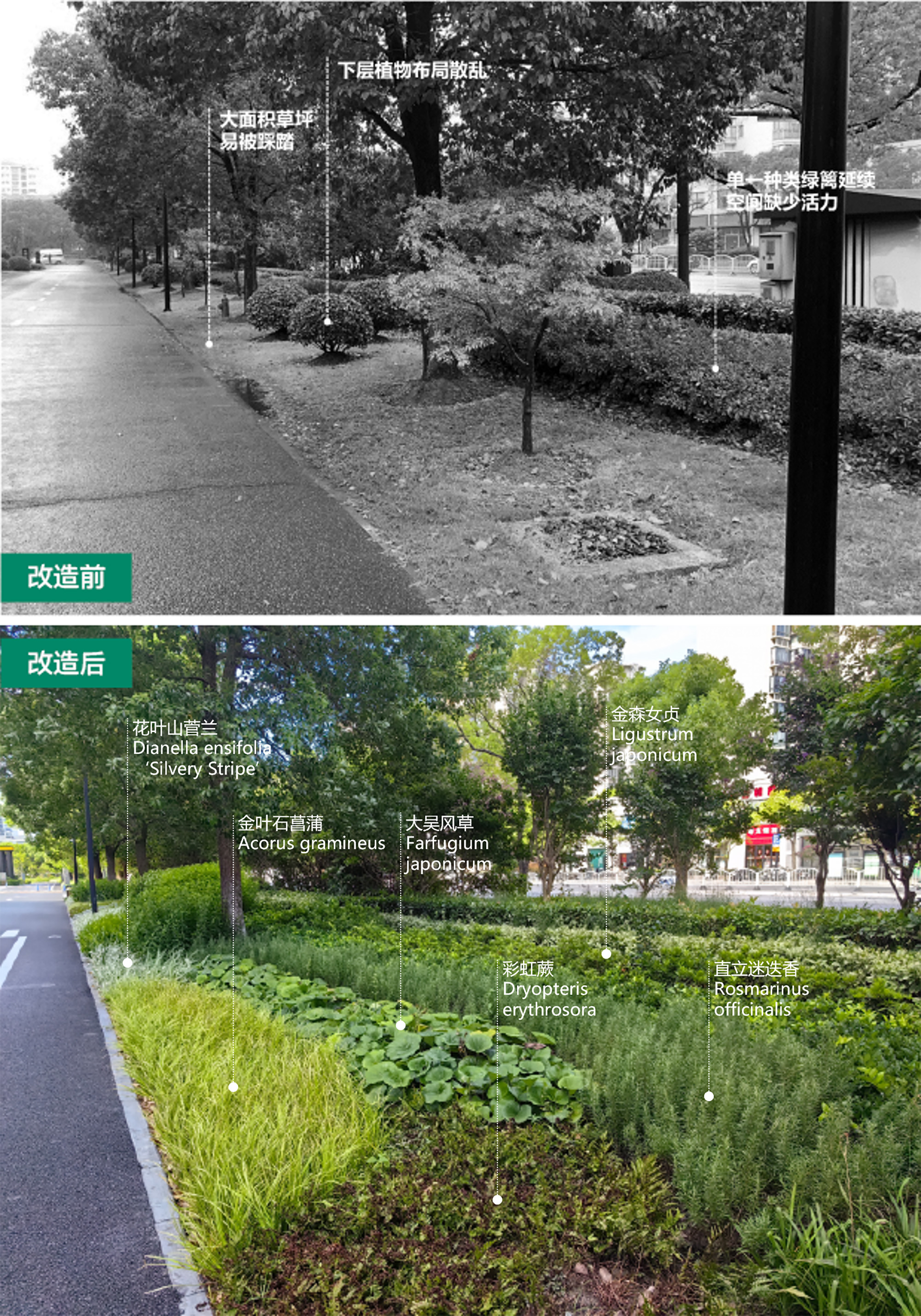 改造前后對(duì)比 (4) 拷貝.jpg