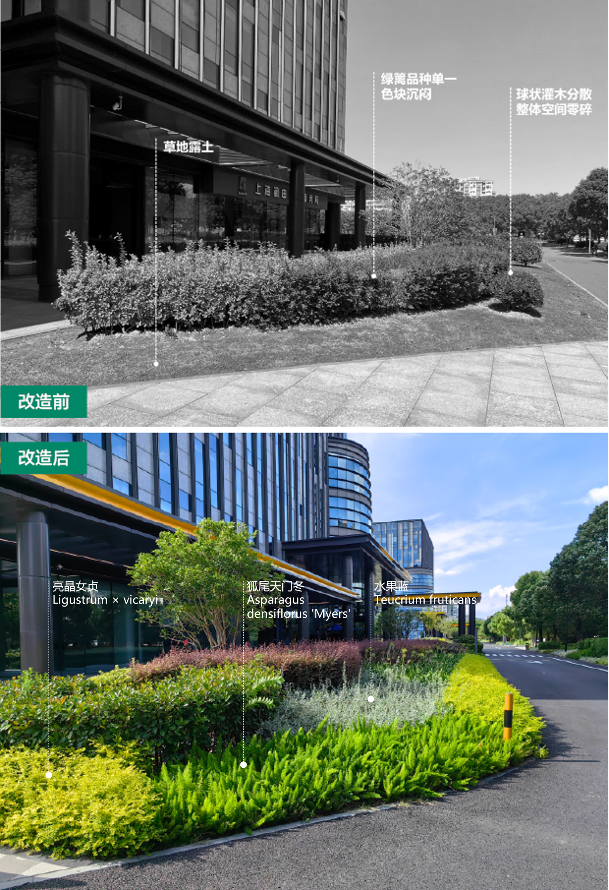 改造前后對(duì)比 (1) 拷貝.jpg