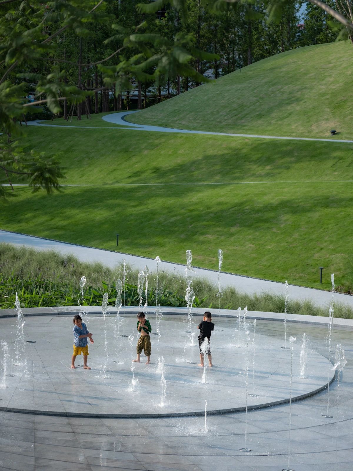 1723210486231294.jpeg 6714d28384acdd444b5bd13d3853f553.jpeg